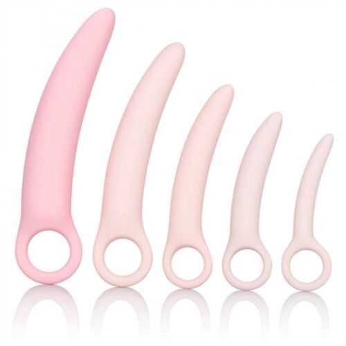 California Exotics Novelties Inspire Silicone Dilator Kit