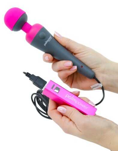 PalmPower Plug & Play Massager Wand