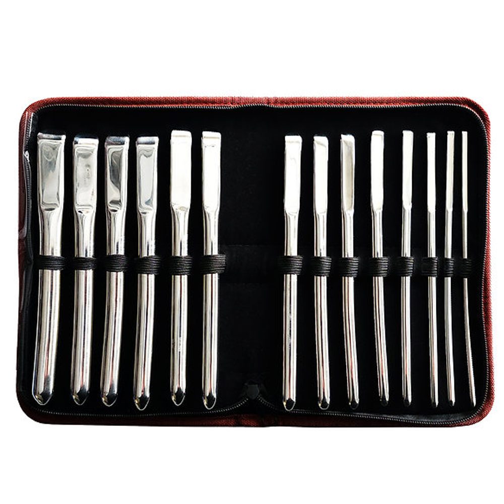 Rouge Stainless Steel 14 Piece Hegar Uterine Dilator Set